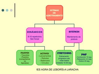 IES AGRA DE LEBORÍS-A LARACHA
SISTEMAS
DE
ADESTRAMENTO
DINÁMICOS
8-10 repeticións
Sen forzar
ESTÁTICOS
Mantemento da
postura
PASIVOS
- Traccións
- Presións
(compañeiros
ou
Aparatos)
ACTIVOS
- Lanzamentos
- Rebotes
- Balanceos
- Círculos
STRETCHING
Estiramento
progresivo ata
notar lixeira
molestia 10-30 seg.
PNF
- Contracción 10 seg.
- Relaxación 2-3 seg.
- Estirar 20 seg.
 