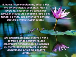 A jovem ficou emocionada, afinal a flor era de uma beleza sem igual. Mas o tempo foi passando, os problemas surgiam, o trabalho consumia todo o seu tempo, e a vida, que continuava confusa, não lhe permitia cuidar da flor. Ela chegava em casa, olhava a flor e as flores ainda estavam lá, não mostravam nenhum sinal de fraqueza ou morte, apenas estavam lá, lindas, perfumadas. Então ela passava direto. 