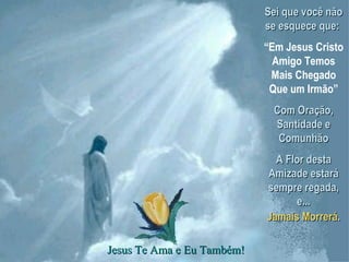 Sei que você não se esquece que:  “ Em Jesus Cristo Amigo Temos Mais Chegado Que um Irmão” Com Oração, Santidade e Comunhão A Flor desta Amizade estará sempre regada, e... Jesus Te Ama e Eu Também! Jamais Morrerá . 