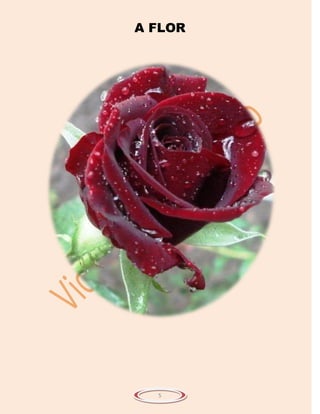 A FLOR




  5
 