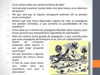 1. Essas rochas estão sem nenhuma forma de vida?
2. Será possível encontrar muitos locais sem pelo menos uma cobertura
de liquens?
3. Por que será que os liquens conseguem colonizar até as paredes
muito inclinadas?
4. Mesmo que haja micro depressões capazes de reter os propágulos
nas paredes inclinadas, o que aumenta as possibilidades de isso
acontecer?
5. Como deve ser o número de propágulos liberados pelos liquens, para
tornar possível essa extraordinária capacidade de colonização?
6. Além do número muito grande de propágulos, o que contribui para
que esses propágulos permaneçam no ar, sem cair rapidamente?
7. Depois do microssolo
preparado pelos liquens, o
que pode surgir ocupando
esses locais?
8. Por que bromélias e algumas
cactáceas são comuns nesses
locais?
9. O fato de esses locais terem
uma aridez local, que
importância tem para a
diversidade?
 