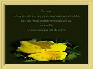 Por isso,Por isso,
espero que esta mensagem seja um pouquinho de adubo,espero que esta mensagem seja um pouquinho de adubo,
para que nossa amizade continue a crescer,para que nossa amizade continue a crescer,
a cada dia,a cada dia,
e nunca morra por falta de cultivo.e nunca morra por falta de cultivo.
 