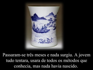 Passaram-se três meses e nada surgiu. A jovem tudo tentara, usara de todos os métodos que conhecia, mas nada havia nascido.  