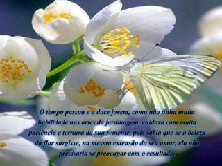 O tempo passou e a doce jovem, como não tinha muita
habilidade nas artes da jardinagem, cuidava com muita
paciência e ternura da sua semente, pois sabia que se a beleza
da flor surgisse, na mesma extensão do seu amor, ela não
precisaria se preocupar com o resultado.
 
