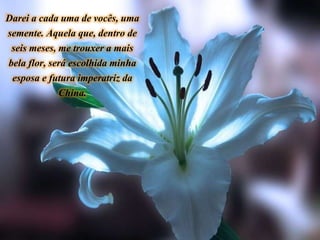 Darei a cada uma de vocês, uma
semente. Aquela que, dentro de
seis meses, me trouxer a mais
bela flor, será escolhida minha
esposa e futura imperatriz da
China.
 
