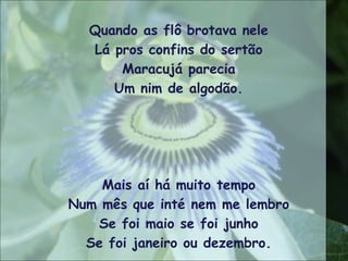 Quando as flô brotava nele
Lá pros confins do sertão
Maracujá parecia
Um nim de algodão.
Mais aí há muito tempo
Num mês que inté nem me lembro
Se foi maio se foi junho
Se foi janeiro ou dezembro.
 