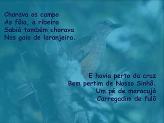Chorava os campo
As fôia, a ribeira
Sabiá também chorava
Nos gaio de laranjeira.
E havia perto da cruz
Bem pertim de Nosso Sinhô.
Um pé de maracujá
Carregadim de fulô
 