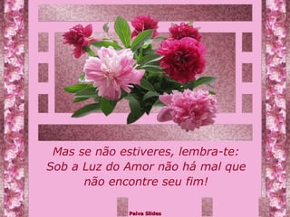 Mas se não estiveres, lembra-te: Sob a Luz do Amor não há mal que não encontre seu fim! 