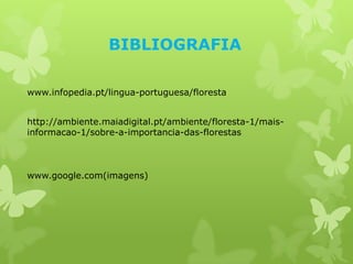 BIBLIOGRAFIA

www.infopedia.pt/lingua-portuguesa/floresta


http://ambiente.maiadigital.pt/ambiente/floresta-1/mais-
informacao-1/sobre-a-importancia-das-florestas
                                .



www.google.com(imagens)
 