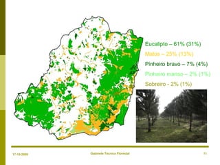 Gabinete Técnico Florestal 11
Eucalipto – 61% (31%)
Matos – 25% (13%)
Pinheiro bravo – 7% (4%)
Pinheiro manso – 2% (1%)
Sobreiro - 2% (1%)
17-10-2008
 