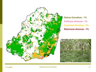 Gabinete Técnico Florestal 13
Outros Carvalhos - 1%
Folhosas diversas - 1%
Invasoras lenhosas - 0%
Resinosas diversas - 1%
17-10-2008
 