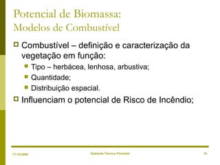 Gabinete Técnico Florestal 14
Potencial de Biomassa:
Modelos de Combustível
 Combustível – definição e caracterização da
vegetação em função:
 Tipo – herbácea, lenhosa, arbustiva;
 Quantidade;
 Distribuição espacial.
 Influenciam o potencial de Risco de Incêndio;
17-10-2008
 