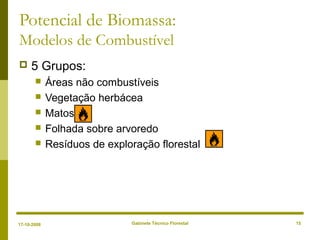 Gabinete Técnico Florestal 15
Potencial de Biomassa:
Modelos de Combustível
 5 Grupos:
 Áreas não combustíveis
 Vegetação herbácea
 Matos
 Folhada sobre arvoredo
 Resíduos de exploração florestal
17-10-2008
 
