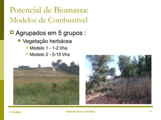Gabinete Técnico Florestal 17
Potencial de Biomassa:
Modelos de Combustível
 Agrupados em 5 grupos :
 Vegetação herbácea
 Modelo 1 - 1-2 t/ha
 Modelo 2 - 5-10 t/ha
17-10-2008
 