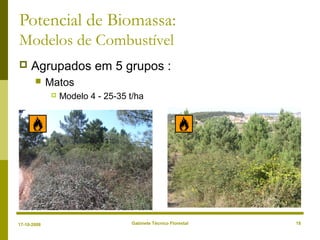Gabinete Técnico Florestal 18
Potencial de Biomassa:
Modelos de Combustível
 Agrupados em 5 grupos :
 Matos
 Modelo 4 - 25-35 t/ha
17-10-2008
 