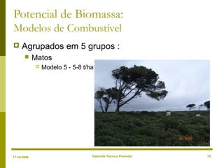 Gabinete Técnico Florestal 19
Potencial de Biomassa:
Modelos de Combustível
 Agrupados em 5 grupos :
 Matos
 Modelo 5 - 5-8 t/ha
17-10-2008
 