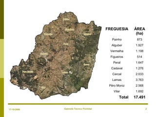 Gabinete Técnico Florestal 2
FREGUESIA ÁREA
(ha)
Painho 873
Alguber 1.927
Vermelha 1.198
Figueiros 514
Peral 1.647
Cadaval 1.276
Cercal 2.033
Lamas 3.763
Pêro Moniz 2.568
Vilar 1.692
Total 17.491
17-10-2008
 