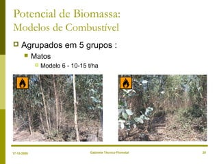Gabinete Técnico Florestal 20
Potencial de Biomassa:
Modelos de Combustível
 Agrupados em 5 grupos :
 Matos
 Modelo 6 - 10-15 t/ha
17-10-2008
 