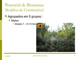 Gabinete Técnico Florestal 21
Potencial de Biomassa:
Modelos de Combustível
 Agrupados em 5 grupos :
 Matos
 Modelo 7 - 10-15 t/ha
17-10-2008
 