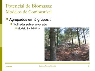 Gabinete Técnico Florestal 22
Potencial de Biomassa:
Modelos de Combustível
 Agrupados em 5 grupos :
 Folhada sobre arvoredo
 Modelo 9 - 7-9 t/ha
17-10-2008
 