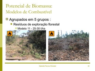 Gabinete Técnico Florestal 23
Potencial de Biomassa:
Modelos de Combustível
 Agrupados em 5 grupos :
 Resíduos de exploração florestal
 Modelo 11 - 25-30 t/ha
 