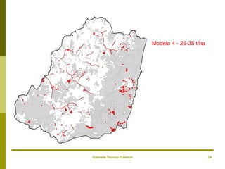 Gabinete Técnico Florestal 24
Modelo 4 - 25-35 t/ha
 