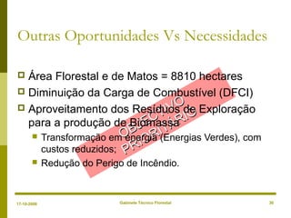 OBJECTIVO
OBJECTIVO
PRIORITÁRIO
PRIORITÁRIO
 Área Florestal e de Matos = 8810 hectares
 Diminuição da Carga de Combustível (DFCI)
 Aproveitamento dos Resíduos de Exploração
para a produção de Biomassa
 Transformação em energia (Energias Verdes), com
custos reduzidos;
 Redução do Perigo de Incêndio.
Gabinete Técnico Florestal 30
Outras Oportunidades Vs Necessidades
17-10-2008
 
