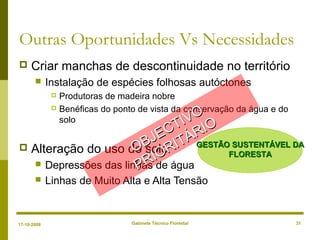 Gabinete Técnico Florestal 31
Outras Oportunidades Vs Necessidades
 Criar manchas de descontinuidade no território
 Instalação de espécies folhosas autóctones
 Produtoras de madeira nobre
 Benéficas do ponto de vista da conservação da água e do
solo
 Alteração do uso do solo
 Depressões das linhas de água
 Linhas de Muito Alta e Alta Tensão
OBJECTIVO
OBJECTIVO
PRIORITÁRIO
PRIORITÁRIO
GESTÃO SUSTENTÁVEL DAGESTÃO SUSTENTÁVEL DA
FLORESTAFLORESTA
17-10-2008
 
