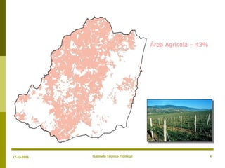 Gabinete Técnico Florestal 4
Área Agrícola – 43%
17-10-2008
 