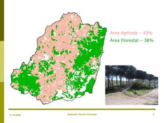 Gabinete Técnico Florestal 5
Área Agrícola – 43%
Área Florestal – 38%
17-10-2008
 