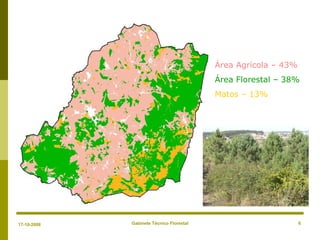 Gabinete Técnico Florestal 6
Área Agrícola – 43%
Área Florestal – 38%
Matos – 13%
17-10-2008
 