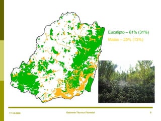Gabinete Técnico Florestal 9
Eucalipto – 61% (31%)
Matos – 25% (13%)
17-10-2008
 