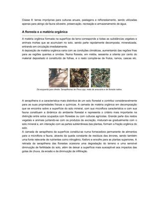 Classe 8: terras impróprias para culturas anuais, pastagens e reflorestamento, sendo utilizadas
apenas para abrigo da fauna silvestre, preservação, recreação e armazenamento de água.
A floresta e a matéria orgânica
A matéria orgânica formada na superfície da terra corresponde a todas as substâncias vegetais e
animais mortas que se acumulam no solo, sendo parte rapidamente decomposta, mineralizada,
entrando em circulação imediatamente.
A deposição de matéria orgânica varia com as condições climáticas, aumentando das regiões frias
para as regiões quentes e úmidas. Numa floresta, em média, sessenta a oitenta por cento do
material depositado é constituído de folhas, e o resto compõe-se de frutos, ramos, cascas etc.
Da esquerda para direita: Serapilheiras de Pinus spp, mata de araucária e de floresta nativa.
A serapilheira é a característica mais distintiva de um solo florestal e contribui consideravelmente
para as suas propriedades físicas e químicas. A camada de matéria orgânica em decomposição
que se encontra sobre a superfície do solo mineral, com sua microflora característica e com sua
fauna constituem a dinâmica do ambiente florestal e representa o critério mais importante na
distinção entre solos ocupados com florestas ou com culturas agrícolas. Grande parte dos restos
vegetais e animais juntando-se com os produtos de excreção, misturam-se gradualmente com o
solo mineral e, em interação com as partes subterrâneas das plantas, formam a fração orgânica do
solo.
A camada de serapilheira da superfície constitui-se numa fornecedora permanente de alimentos
para a microflora e fauna, através da queda constante de resíduos das árvores, sendo também
uma fonte relevante de nutrientes como nitrogênio, fósforo e enxofre para as plantas superiores. A
retirada da serapilheira das florestas ocasiona uma degradação do terreno e uma sensível
diminuição de fertilidade do solo, além de deixar a superfície mais susceptível aos impactos das
gotas de chuva, da erosão e da diminuição de infiltração.
 