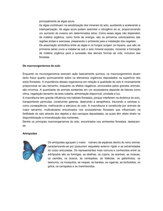 principalmente as algas azuis.
As algas contribuem na solubilização dos minerais do solo, auxiliando e acelerando a
intemperização. As algas azuis podem assimilar o nitrogênio do ar, proporcionando
um aumento do mesmo em determinados sitios. Como essas algas não dependem
da matéria orgânica, como fonte de energia, são os primeiros colonizadores das
regiões áridas e arenosas, preparando o ambiente para a instalação dos vegetais.
Da associação simbiótica entre as algas e os fungos surgem os líquens, que são os
primeiros seres vivos a instalar-se sob o solo mineral exposto, iniciando a formação
de matéria orgânica para a sucessão das demais formas de vida, inclusive das
florestas.
Os macroorganismos do solo
Enquanto os microorganismos exercem ação basicamente química, os macroorganismos atuam
tanto física quanto quimicamente sobre os elementos orgânicos depositados na superfície dos
solos florestais. A importância desses organismos em relação à qualidade do solo é inversamente
proporcional ao seu tamanho, enquanto os efeitos negativos, provocados pelos grandes animais,
são mínimos. A quantidade de animais existentes em um ecossistema depende de fatores como
clima, vegetação tamanho da área coberta, alimentação disponível, umidade e luz.
A macrofauna tem grande influência nos habitats florestais, porque interferem na dinâmica do solo,
transportando partículas, construindo galerias, destruindo a serapilheira, triturando a celulose e,
como conseqüência, melhorando a estrutura do solo. A macrofauna é constituída por animais de
maior tamanho, multicelulares encontrados nos ecossistemas florestais que influenciam na
fertilidade do solo através dos dejetos e das carcaças depositadas, as quais têm efeito direto na
disponibilização e mineralização dos nutrientes.
Dentre os principais macroorganismos do solo, encontrados nos ambientes florestais, destacam-
se:
Artrópodes
Os artrópodes agrupam o maior número de espécies dentro do reino animal,
caracterizando-se por possuírem esqueleto externo rígido e as extremidades
do corpo articuladas. Os representantes mais comuns e conhecidos entre os
artrópodos são as formigas, as abelhas, os cupins, as aranhas, as moscas,
os camões, os ácaros, as centopéias, as libélulas, os gafanhotos, os
besouros, os mosquitos, as vespas, as baratas, as cigarras, as borboletas, os
grilos, os carrapatos e os marimbondos.
 