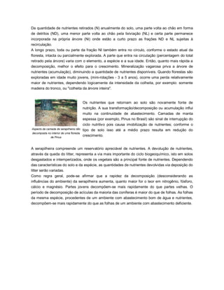 Da quantidade de nutrientes retirados (N) anualmente do solo, uma parte volta ao chão em forma
de detritos (ND), uma menor parte volta ao chão pela lixiviação (NL) e certa parte permanece
incorporada na própria árvore (Ni) onde estão a curto prazo as frações ND e NL sujeitas à
recirculação.
A longo prazo, toda ou parte da fração NI também entra no círculo, conforme o estado atual da
floresta, intacta ou parcialmente explorada. A parte que entra na circulação (percentagem do total
retirado pela árvore) varia com o elemento, a espécie e a sua idade. Então, quanto mais rápida a
decomposição, melhor o efeito para o crescimento. Mineralização vagarosa priva a árvore de
nutrientes (acumulação), diminuindo a quantidade de nutrientes disponíveis. Quando florestas são
exploradas em idade muito jovens, (mini-rotações - 3 a 5 anos), ocorre uma perda relativamente
maior de nutrientes, dependendo logicamente da intensidade da colheita, por exemplo: somente
madeira do tronco, ou "colheita da árvore inteira".
Aspecto da camada de serapilheira não
decomposta no interior de uma floresta
de Pinus
Os nutrientes que retornam ao solo são novamente fonte de
nutrição. A sua transformação/decomposição ou acumulação influi
muito na continuidade de abastecimento. Camadas de manta
espessa (por exemplo, Pinus no Brasil) são sinal de interrupção do
ciclo nutritivo pois causa imobilização de nutrientes; conforme o
tipo de solo isso até a médio prazo resulta em redução do
crescimento.
A serapilheira compreende um reservatório apreciável de nutrientes. A devolução de nutrientes,
através da queda do litter, representa a via mais importante do ciclo biogeoquímico, isto em solos
desgastados e intemperizados, onde os vegetais são a principal fonte de nutrientes. Dependendo
das características do solo e da espécie, as quantidades de nutrientes devolvidas via deposição do
litter serão variadas.
Como regra geral, pode-se afirmar que a rapidez da decomposição (desconsiderando as
influências do ambiente) da serapilheira aumenta, quanto maior for o teor em nitrogênio, fósforo,
cálcio e magnésio. Partes jovens decompõem-se mais rapidamente do que partes velhas. O
período de decomposição de acículas da maioria das coníferas é maior do que de folhas. As folhas
da mesma espécie, procedentes de um ambiente com abastecimento bom de água e nutrientes,
decompõem-se mais rapidamente do que as folhas de um ambiente com abastecimento deficiente.
 