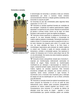 Horizontes e camadas
Perfil hipotético ilustrando os diferentes
horizontes e camadas de um solo
A denominação de horizontes e camadas é feita por símbolos
representados por letras e números. Esses símbolos
convencionalmente informam a relação genética existentes entre
horizontes no conjunto do perfil.
Os horizontes do solo são simbolizados pelas seguintes letras
maiúsculas: O, A, B, C, e R.
"O" Horizonte ou camada superficial formada em condições de
boa drenagem, constituída de material essencialmente vegetal,
depositado na superfície do solo mineral. Resulta do acamamento
de plantas e animais mortos. Ocorre via de regra, em áreas
florestais e está ausente em geral nas regiões de pastagens.
"A" Horizonte mineral superficial ou subjacente ao horizonte ou
camada O, de maior atividade biológica e incorporação de
matéria orgânica bastante mineralizada, intimamente associada à
matéria mineral. É o horizonte que está na superfície do solo e o
de maior interesse nos preparos para cultivo. É a porção mais
viva, de maior atividade da fauna e da flora macro e
microbiológica responsáveis pela produção de matéria orgânica
no próprio solo. Constitui a seção de maiores variações de
temperatura, umidade e composição gasosa. Sua espessura é
variada. Em latossolos com A húmico, pode atingir mais de 100
cm de profundidade. Na maioria dos solos brasileiros apresenta-
se com menos de 50 cm.
"B" Horizonte mineral, subsuperficial, situado sob o horizonte A ,
originado por transformações relativamente acentuadas do
material de origem. Neste horizonte as transformações
manifestam-se por alteração e decomposição do material de
origem, recebendo também argilas, óxidos de ferro e alumínio ou
matéria orgânica de camadas superiores. Este horizonte
encontra-se protegido das variações que ocorrem próximo à
superfície, sendo menos vulnerável à ação humana. É
reconhecido como o horizonte mais importante para a distinção
de classes de solo da classificação em uso no Brasil, conhecido
como Bt (textural).
"C" Horizonte ou camada mineral de material inconsolidado sob o
solum (conjunto de horizontes A e B de um perfil de solo)
relativamente pouco afetado pelos processos pedogenéticos,
constituído do mesmo material originário que formou o solo.
Compreende-se como horizonte C a camada de detritos da
alteração inicial das rochas de origem - saprólito e rocha
semiconsolidadas que, quando molhadas, podem ser cortadas
 