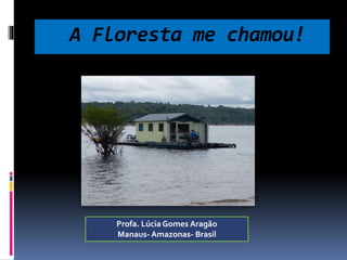 A Floresta me chamou! 
Profa. Lúcia Gomes Aragão 
Manaus-Amazonas- Brasil 
 