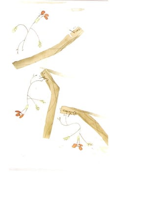 A flor vai ver o mar