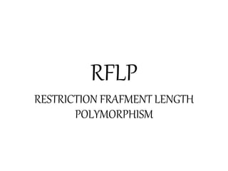 How To Read Rflp DNA Fingerprinting (AFLP, RFLP, RAPD) & Its advntages and application ...