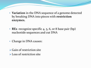 • Variation in the DNA sequence of a genome detected
by breaking DNA into pieces with restriction
enzymes.
• REs -recognize specific 4, 5, 6, or 8 base pair (bp)
nucleotide sequences and cut DNA
• Change in DNA causes:
 Gain of restriction site
 Loss of restriction site
 