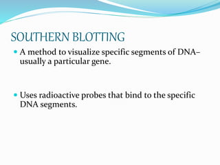 SOUTHERN BLOTTING
 A method to visualize specific segments of DNA–
usually a particular gene.
 Uses radioactive probes that bind to the specific
DNA segments.
 