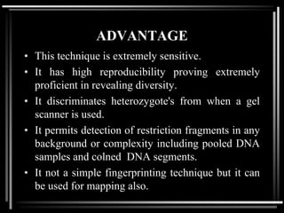 ADVANTAGE
• This technique is extremely sensitive.
• It has high reproducibility proving extremely
proficient in revealing diversity.
• It discriminates heterozygote's from when a gel
scanner is used.
• It permits detection of restriction fragments in any
background or complexity including pooled DNA
samples and colned DNA segments.
• It not a simple fingerprinting technique but it can
be used for mapping also.
 