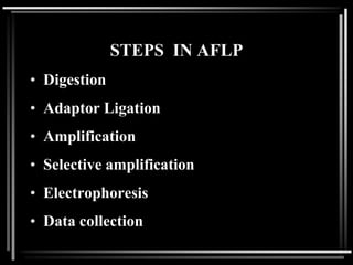 STEPS IN AFLP
• Digestion
• Adaptor Ligation
• Amplification
• Selective amplification
• Electrophoresis
• Data collection
 
