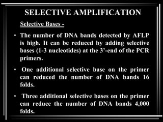 SELECTIVE AMPLIFICATION
Selective Bases -
• The number of DNA bands detected by AFLP
is high. It can be reduced by adding selective
bases (1-3 nucleotides) at the 3’-end of the PCR
primers.
• One additional selective base on the primer
can reduced the number of DNA bands 16
folds.
• Three additional selective bases on the primer
can reduce the number of DNA bands 4,000
folds.
 