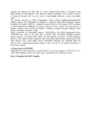 determine the length of the SSR. The size of the resulting PCR products is determined using
high-resolution gel electrophoresis. This approach requires knowledge of the genome sequence
to design the primers, but it can be used to detect multiple alleles for a given microsatellite
region.
Yet another approach to DNA fingerprinting, called random amplified polymorphic DNA
(RAPD) analysis, uses PCR primer sets designed to randomly amplify DNA fragments scattered
throughout the genome. RAPD is a multilocus approach that uses low-stringency PCR conditions
to permit promiscuous amplification of genomic regions. It can be carried out in the absence of
genome sequence data, but the low-stringency conditions sometimes provide challenges when
trying to reproduce or interpret results.
Today, researchers are increasingly turning to AFLP-PCR in their DNA fingerprinting efforts.
AFLP-PCR uses many of the same steps as RFLP, SSR, and RAPD, including restriction
enzyme digestion of genomic DNA, PCR, and electrophoretic separation of DNA fragments.
However, this method includes additional steps that permit high-resolution interrogation of the
entire genome, and it yields highly specific, reproducible genotypic data. Although AFLP can
only be used to study dominant genetic markers, it does not rely on any previous knowledge of
the genome sequence.
A Closer Look at AFLP-PCR
AFLP-PCR was first described by researcher Pieter Vos and his colleagues in 1995 (Vos et al.,
1995). This technique involves five major steps, as described in the following sections.
Step 1: Preparing the AFLP Template
 