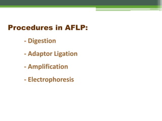 Procedures in AFLP:
- Digestion
- Adaptor Ligation
- Amplification
- Electrophoresis
 