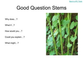 Back to AFL Tools



            Good Question Stems

Why does…?

What if…?

How would you…?

Could you explain…?

What might…?
 