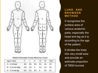 Tbsa Graph Fluid resuscitation in burn patient | PPTX