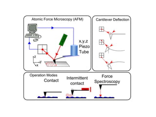 Atomic force microscope | PPTX