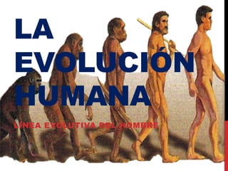 LA
EVOLUCIÓN
HUMANA
LÍNEA EVOLUTIVA DEL HOMBRE
 